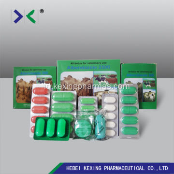 Albendazole Tablet 250mg Sapi